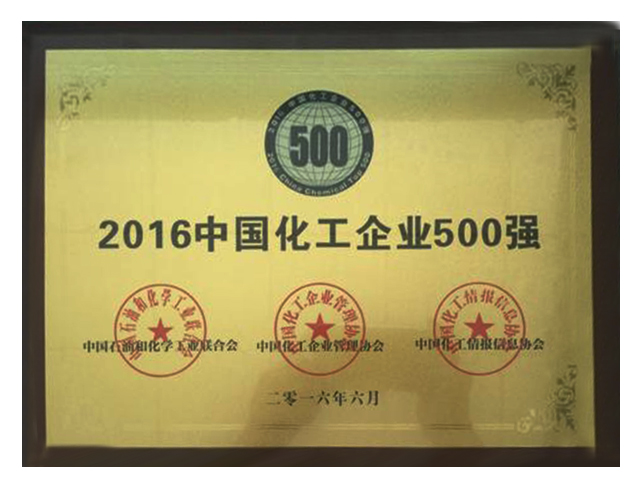 2016I(y)500